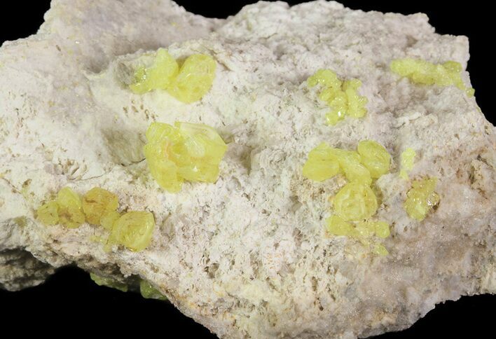 Sulfur Crystal Clusters on Matrix - Nevada #69146